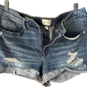 Universal Thread Blue Distressed Jean Shorts